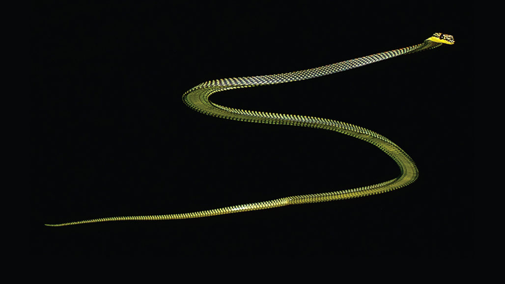 Certain species of tree snakes can glide through the air, undulating their bodies as they soar from tree to tree. That wriggling isn’t an attempt to